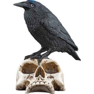 Raven on Skull Statue