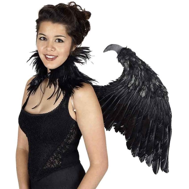 Dark Fairy Clawed Feather Wings