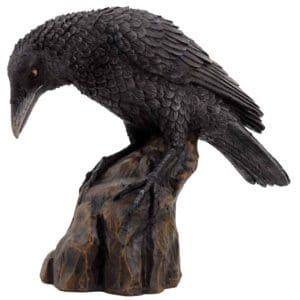 Curious Raven Statue