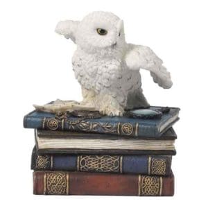 Snow Owl Flapping Wings On Books Trinket Box