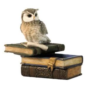 Collared Scops Owl On Books Trinket Box