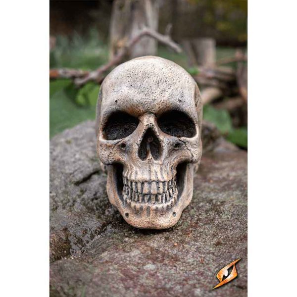 Medium Skull - Bone