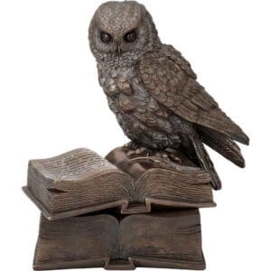 Perched Owl on Books Trinket Box